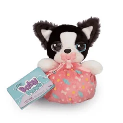 Baby Paws Mini Border Collie