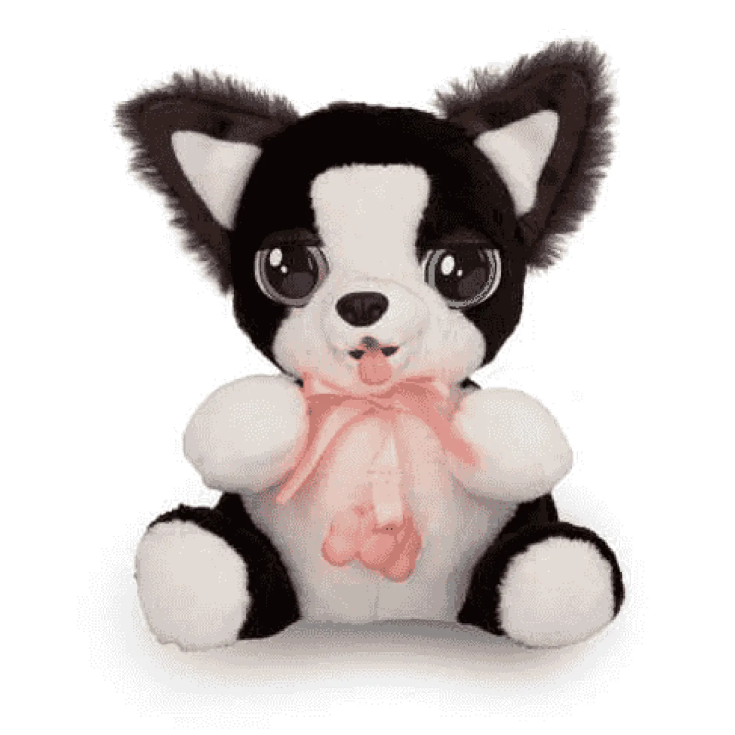 Baby Paws Mini Border Collie