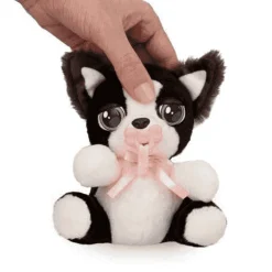 Baby Paws Mini Border Collie