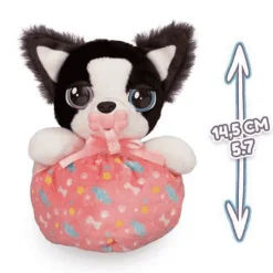 Baby Paws Mini Border Collie