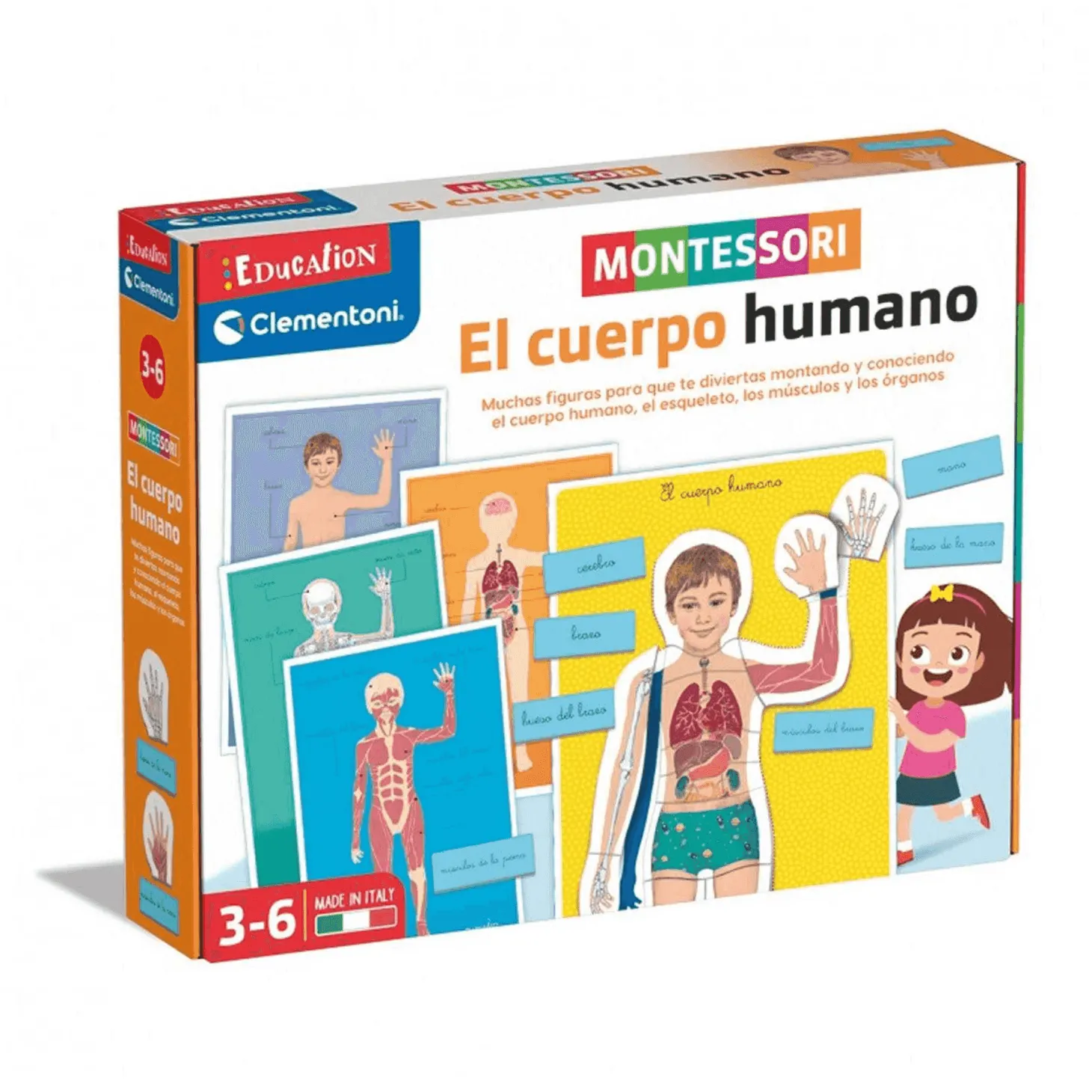 Clementoni Montessori Human Body