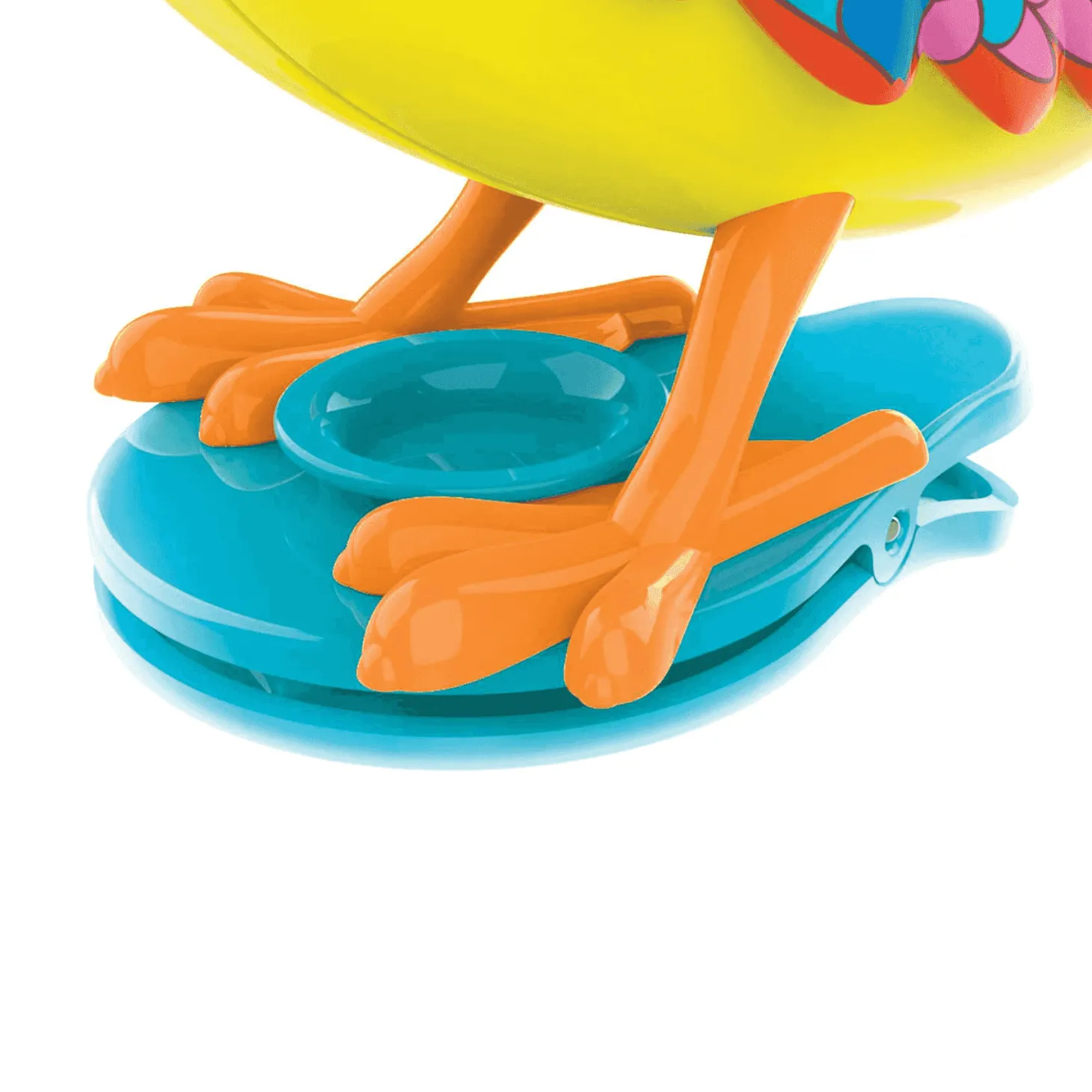 Digibirds Jaula Diferentes Modelos