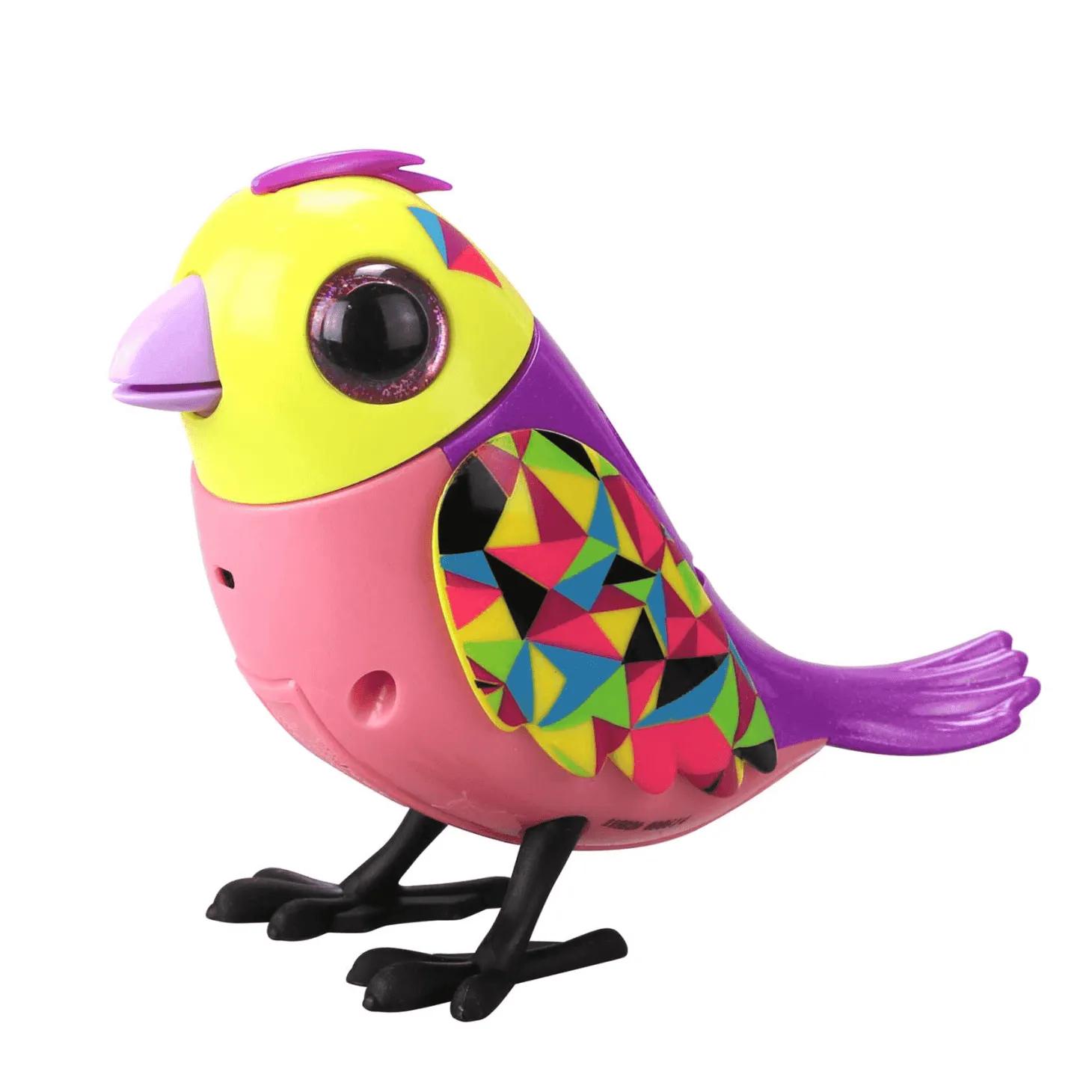 Digibirds Jaula Diferentes Modelos