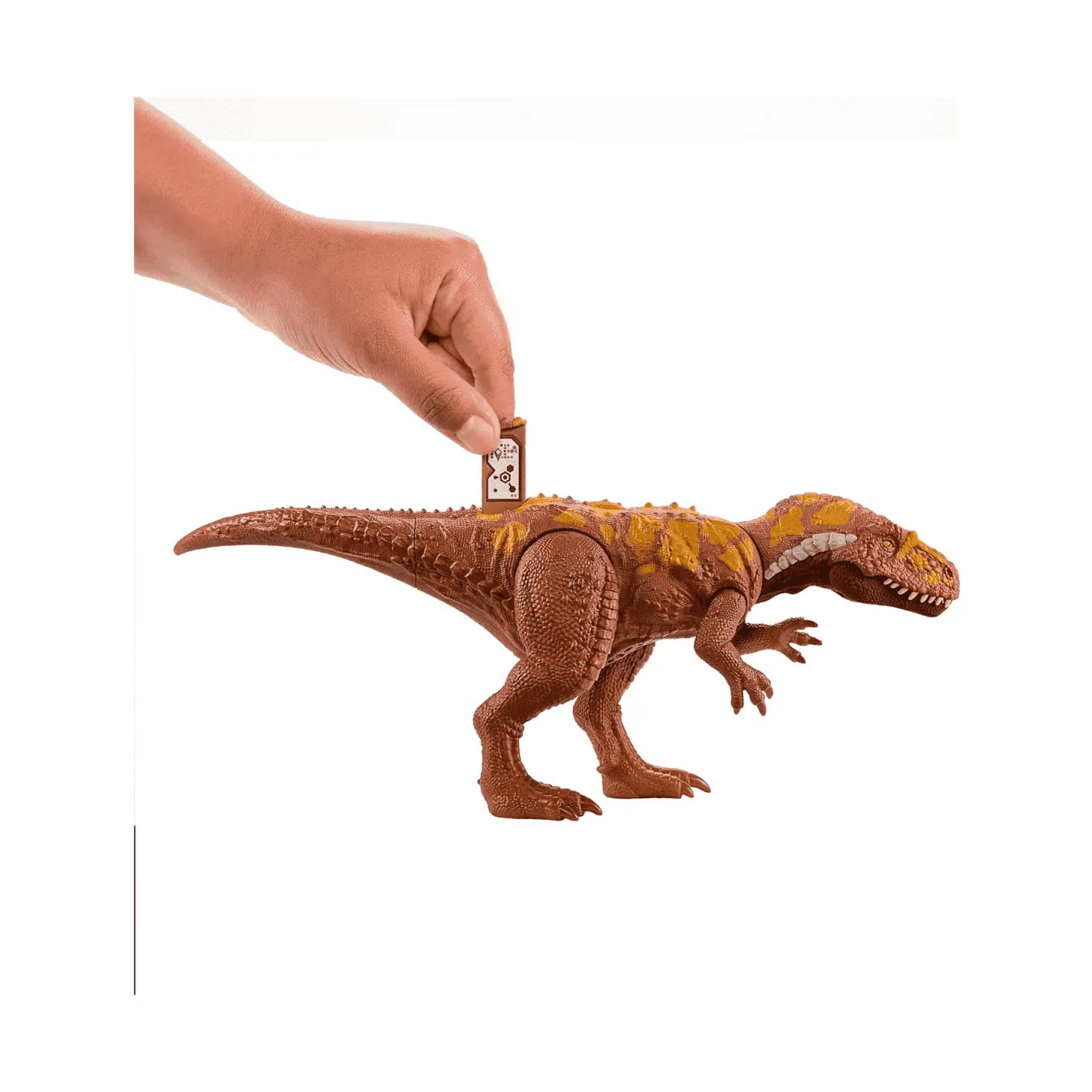 Dinosauro Megalosaurus Jurassic World Wild Roar