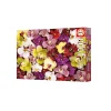 Educa Puzzle Collage de Orquideas 1000 piezas