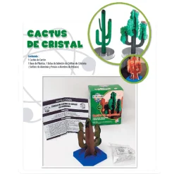 Experimentos Ciencia De Bolsillo Surtido Cefa