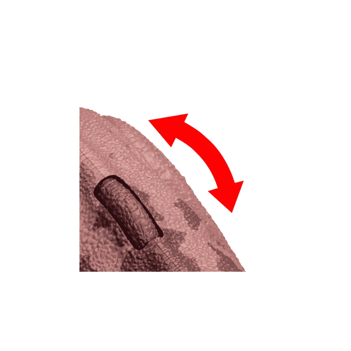 Figura de dinosaurio Pachyrhinosaurus de Jurassic World Roar