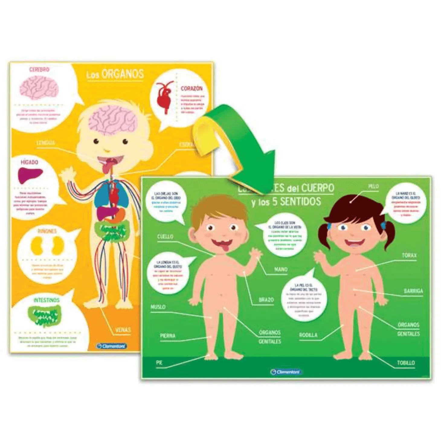 Juego Aprendo el Cuerpo Humano