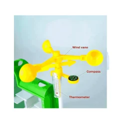 Laberinto de Plantas STEM Cultiva y Descubre el Mundo de la Botánica