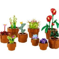 LEGO Botanicals Plantas Diminutas Set de construcción para adultos 10329
