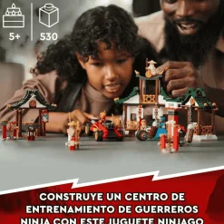 LEGO Caja Ninja de Ladrillos Creativos