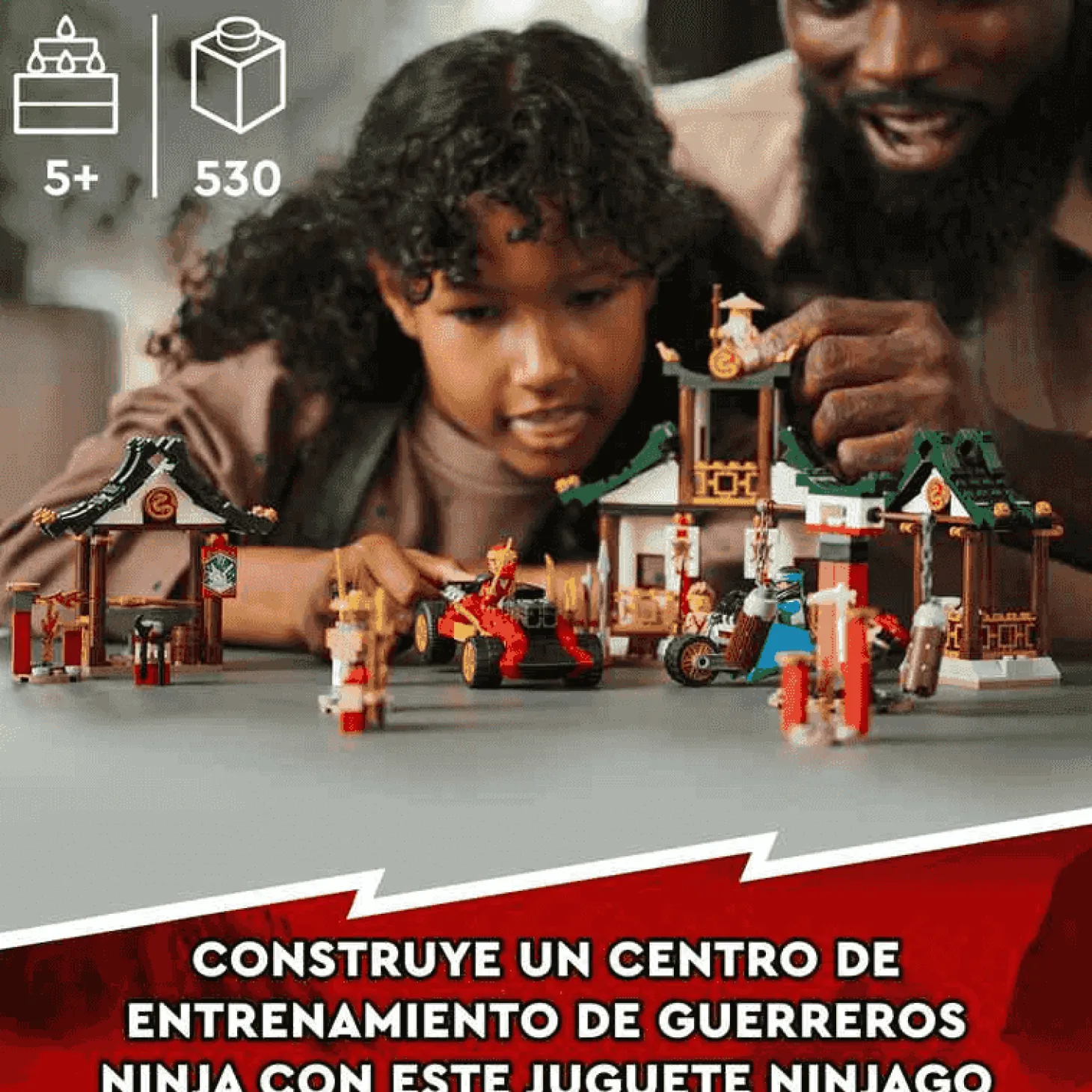 LEGO Caja Ninja de Ladrillos Creativos