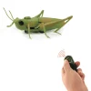 RC Saltamontes con Control Remoto Infrarrojo – Juguete Interactivo