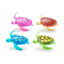 Robo Turtle Individual