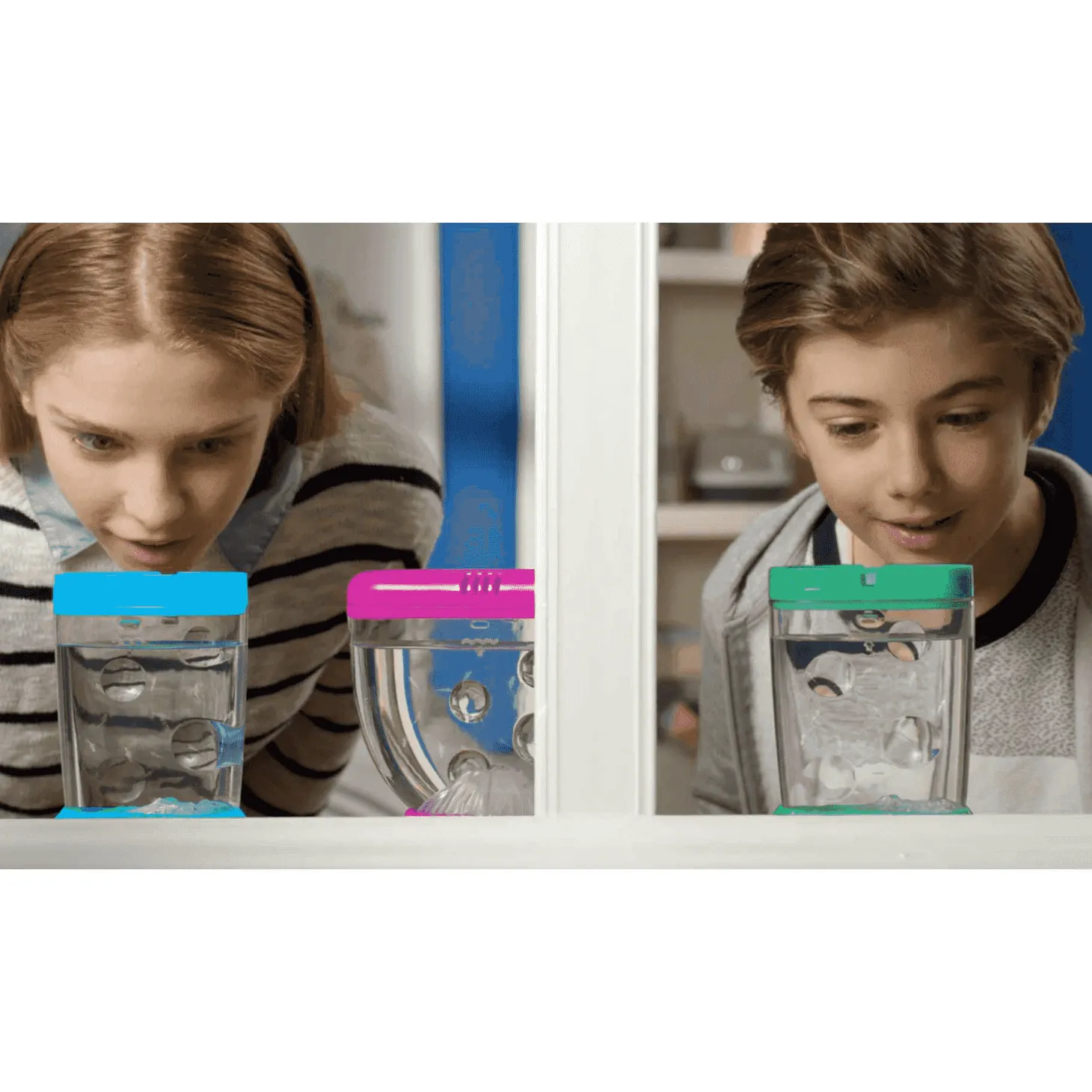 Sea Monkeys Ocean Zoo